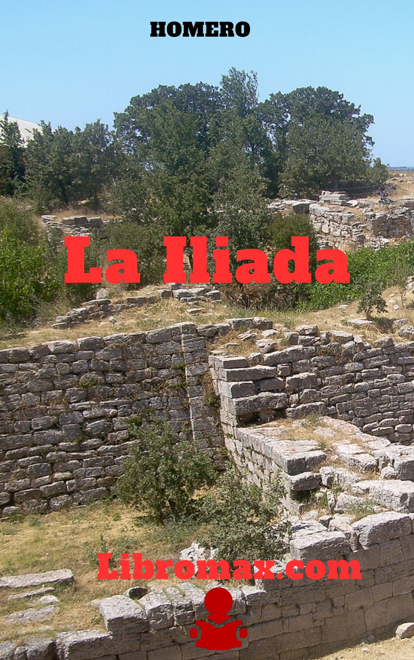 La Iliada de Homero