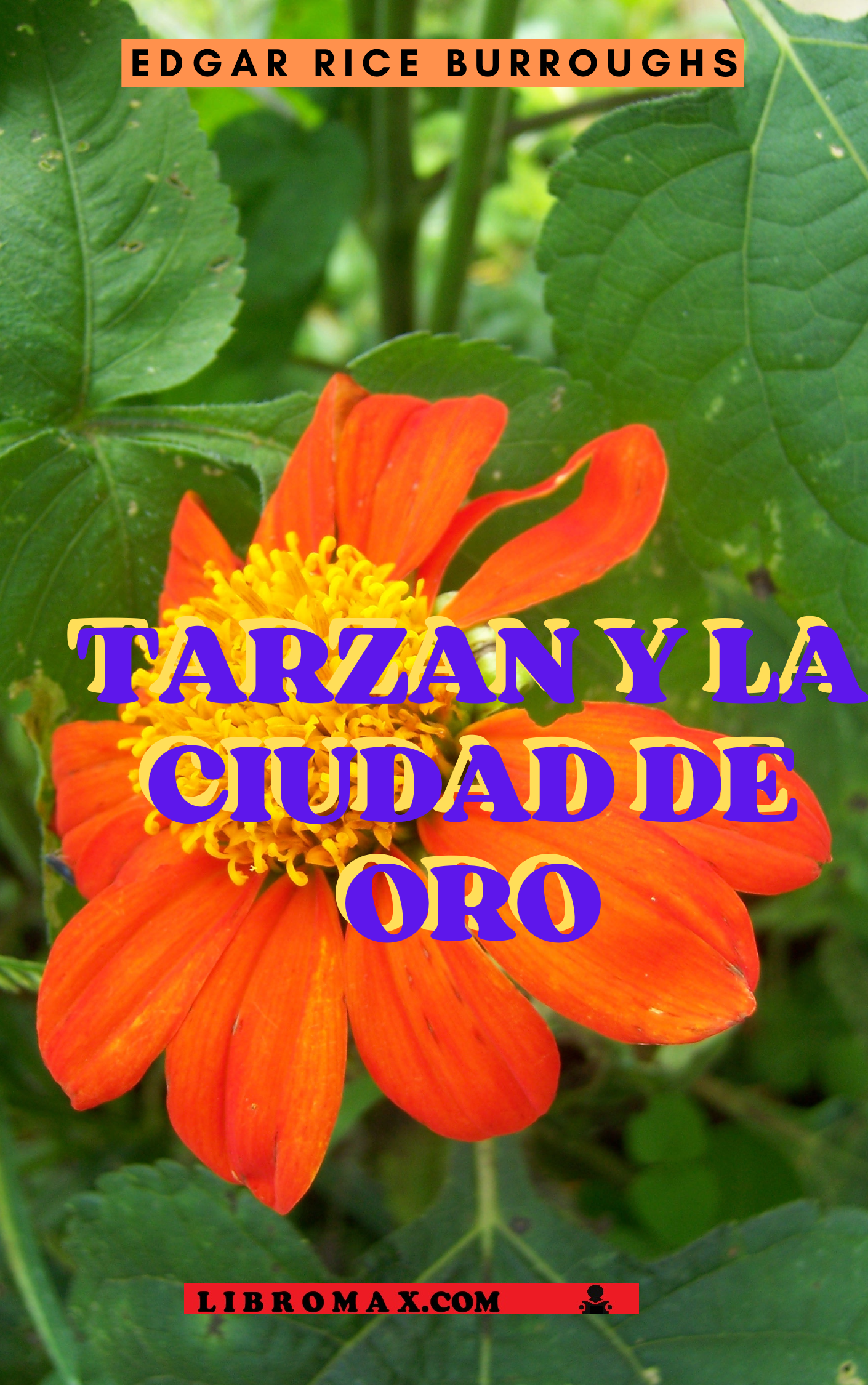 15 Tarzán y la ciudad de oro