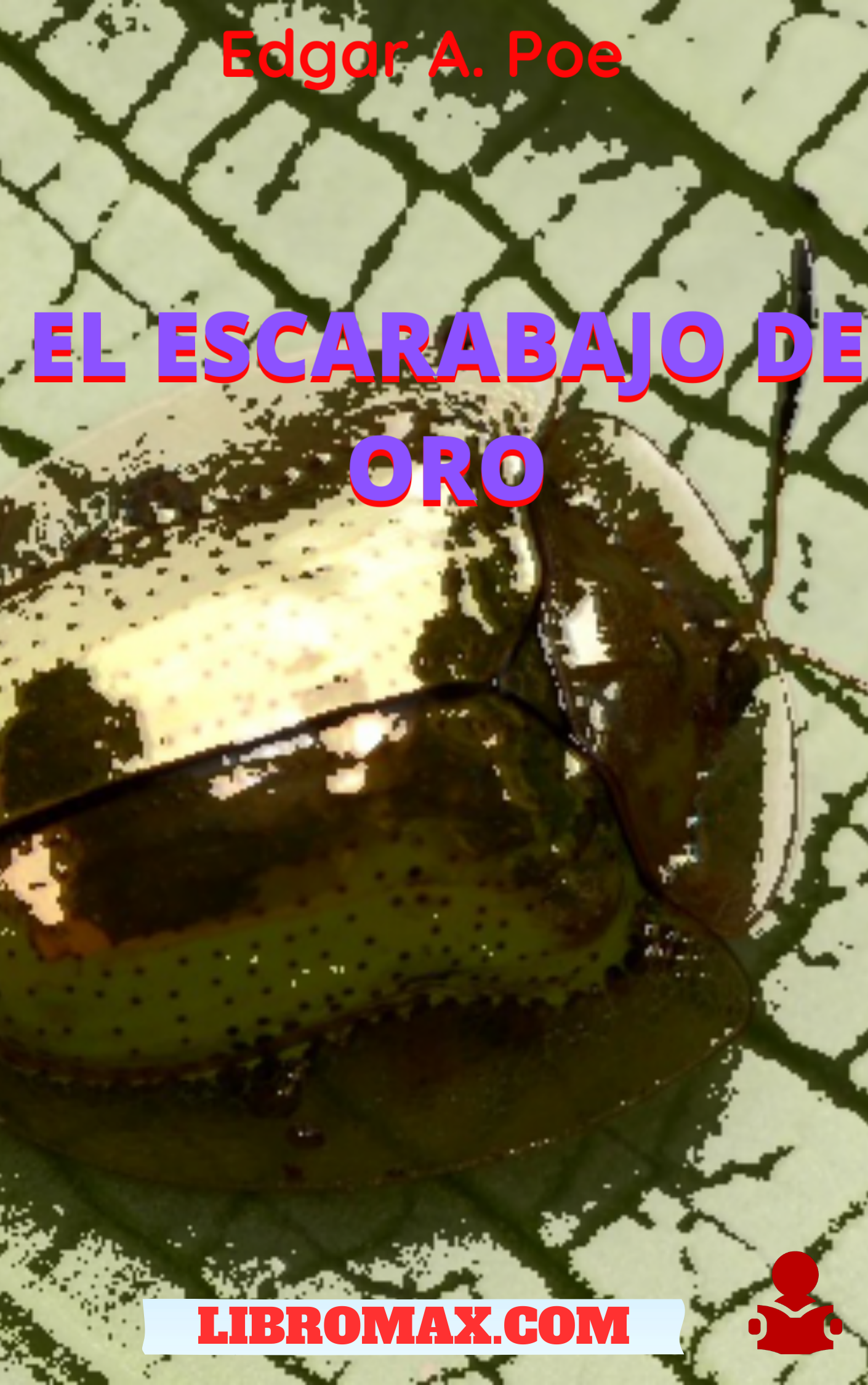 19 El escarabajo de oro
