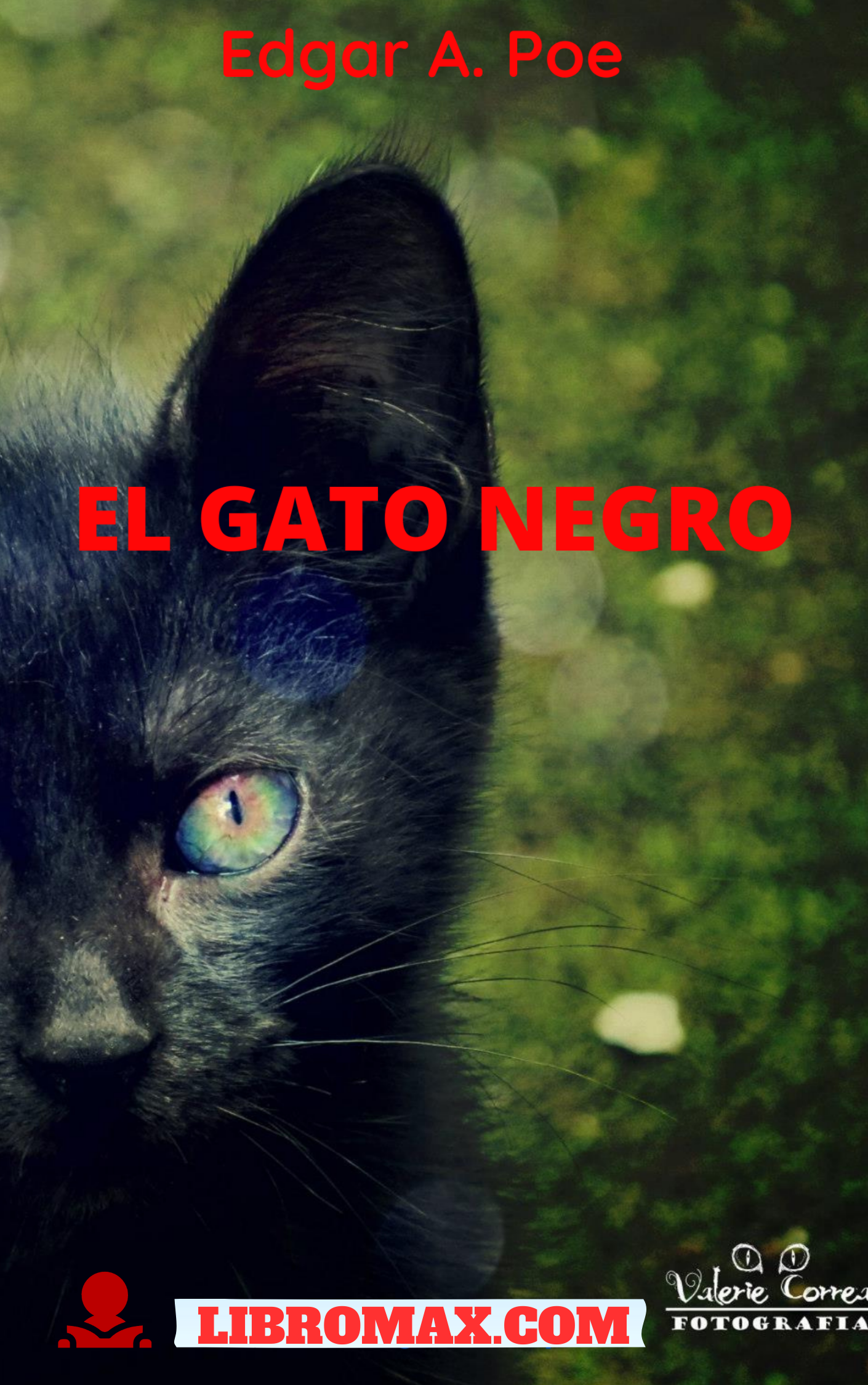 21 El Gato Negro