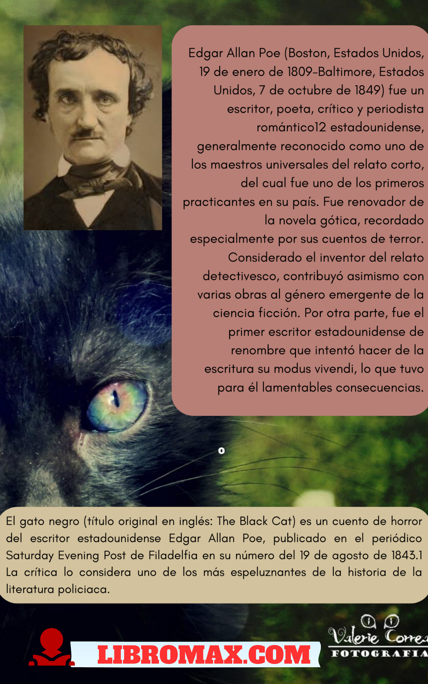 El Gato Negro - Imagen 3