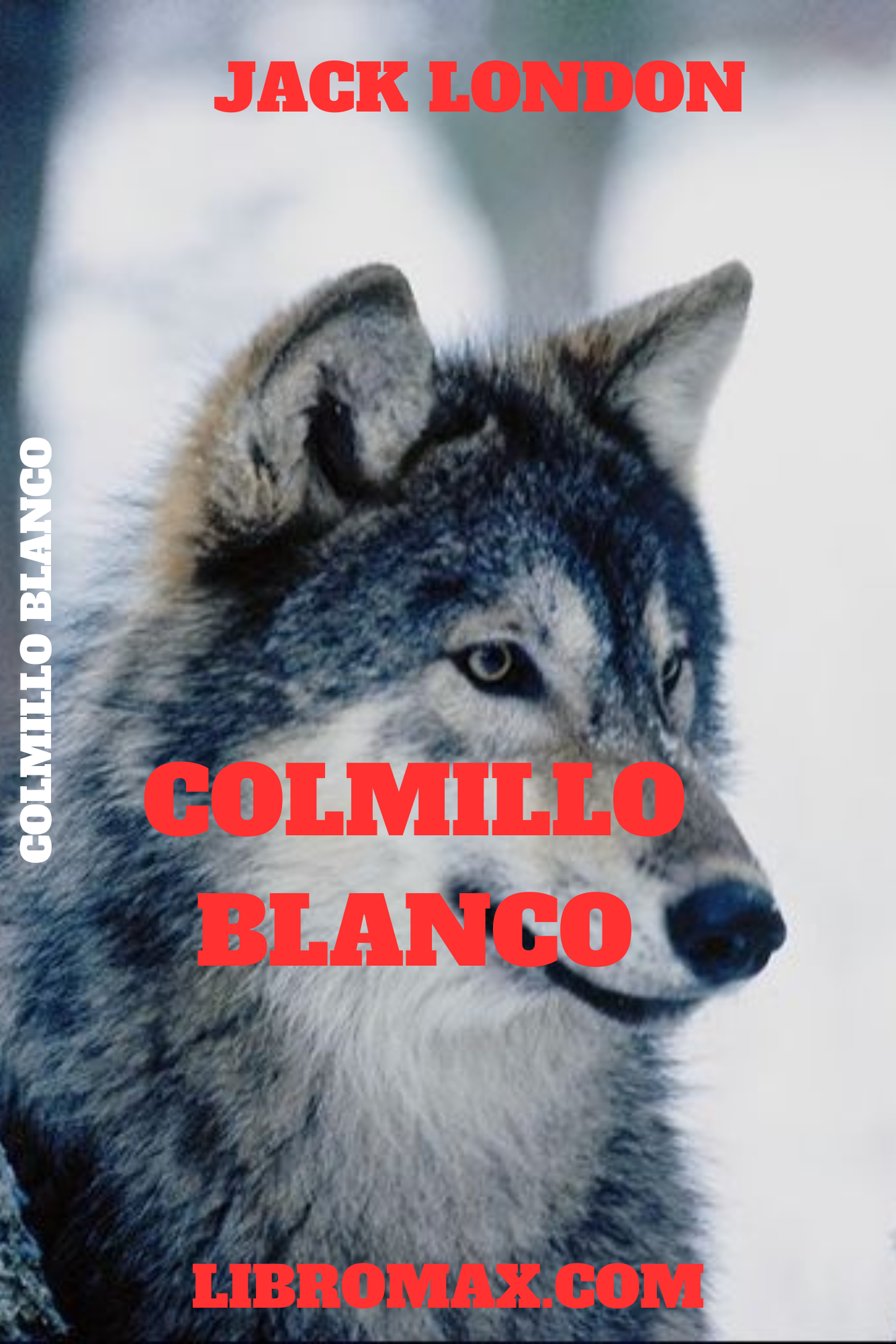 8 Colmillo Blanco - Jack London